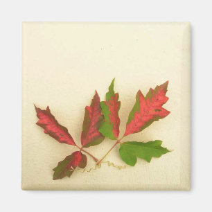 Make Your Own Magnet - Fall Pin Oak Leaves