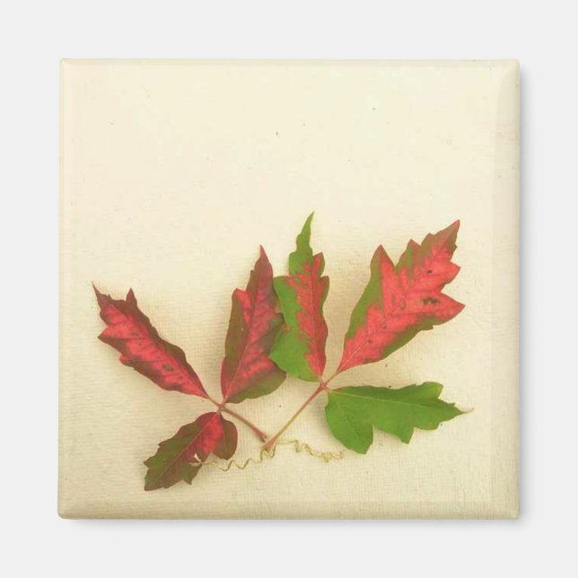 Make Your Own Magnet - Fall Pin Oak Leaves (Front)