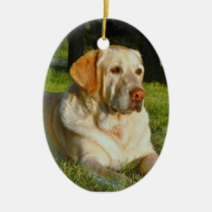 Make Your Own Pet Christmas Ornament