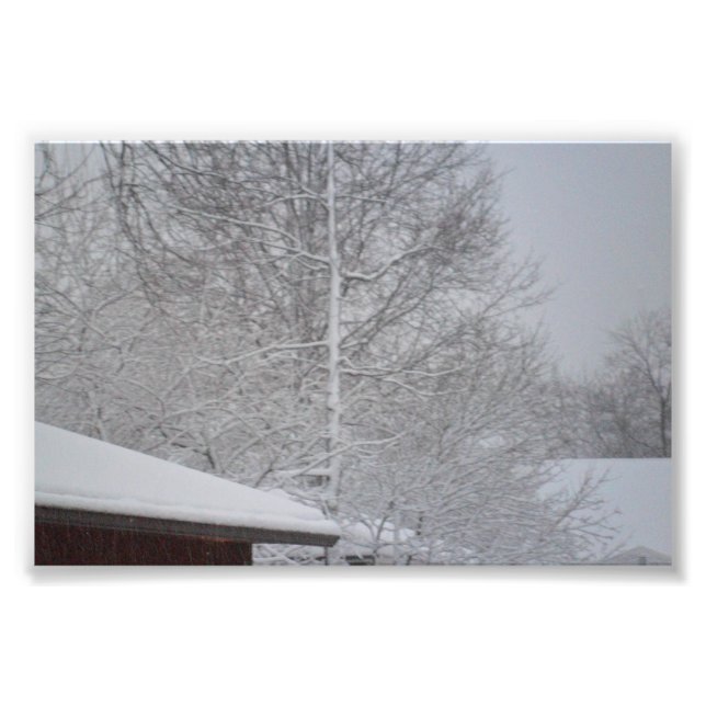 make your own photo prints (Front)