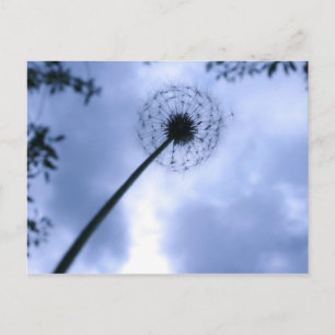 Makin' Wishes Postcard