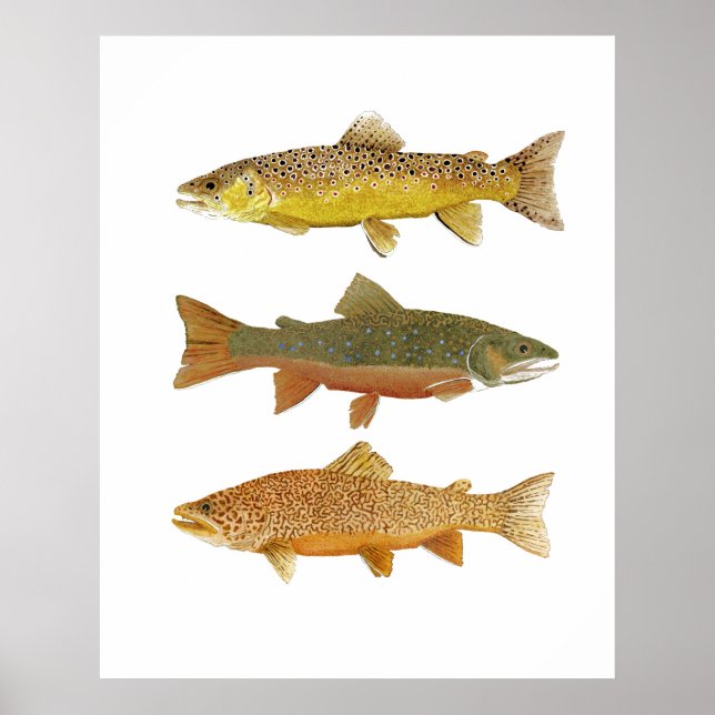 Making a Tiger Poster (Front)