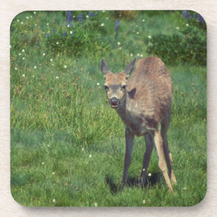 Making Face Coaster