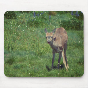 Making Face Mouse Pad