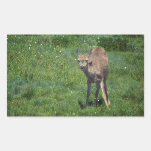 Making Face Rectangular Sticker