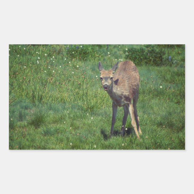 Making Face Rectangular Sticker (Front)