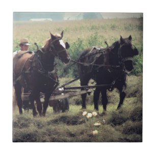 Making Hay With Horses Tile