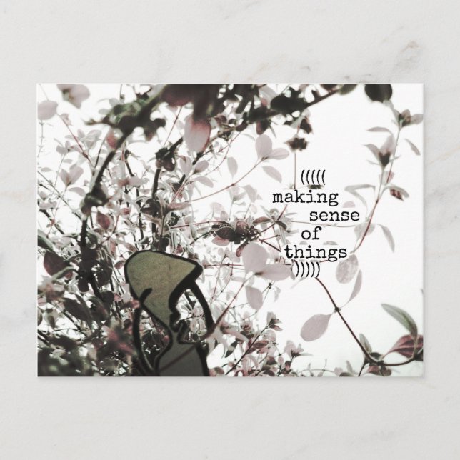 (((((making sense of things))))) postcard (Front)