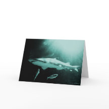 Mako shark blank card