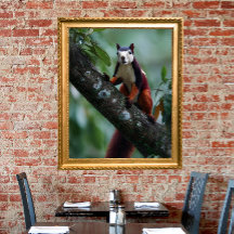 Malabar giant squirrel