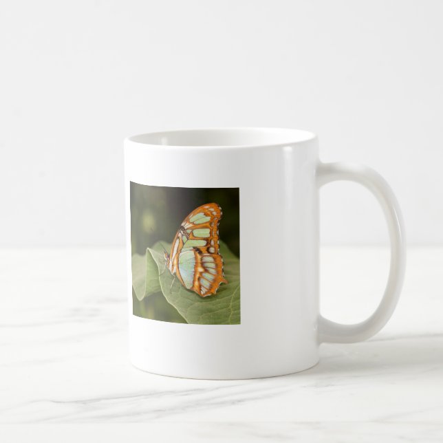 Malachite butterfly perched on a leaf coffee mug (Right)
