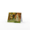 Malachite Butterfly Thank you Card
