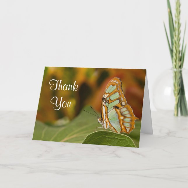 Malachite Butterfly Thank you Card (Front)