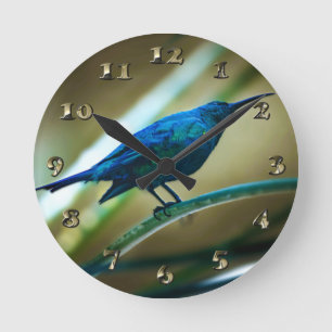 Malachite Sunbird Perched Closeup Round Clock