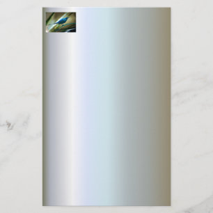 Malachite Sunbird Perched Closeup Stationery