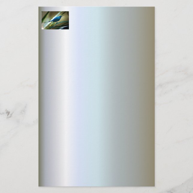 Malachite Sunbird Perched Closeup Stationery (Front)