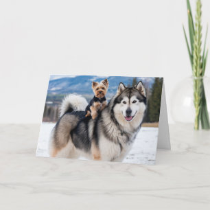 Malamute and Yorkie Card