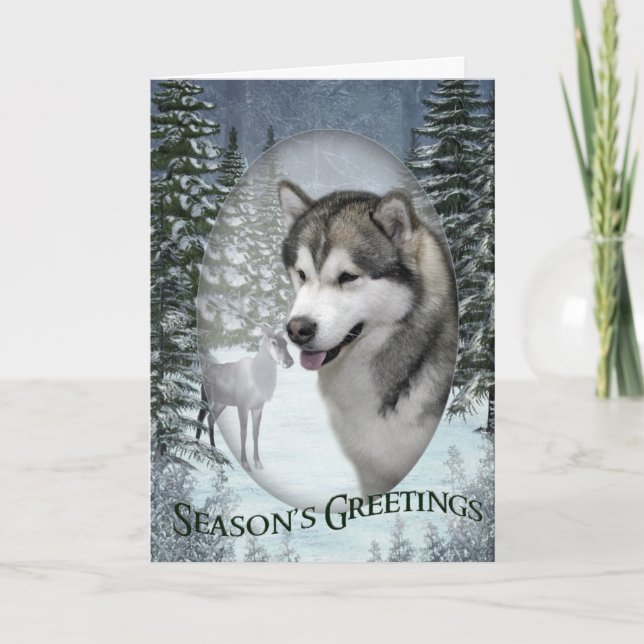 Malamute Christmas Card (Front)