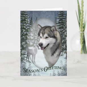 Malamute Christmas Card