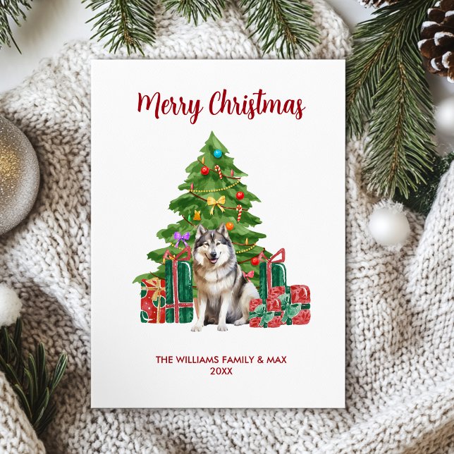 Malamute Dog Family Christmas Holiday Card (Creator Uploaded)