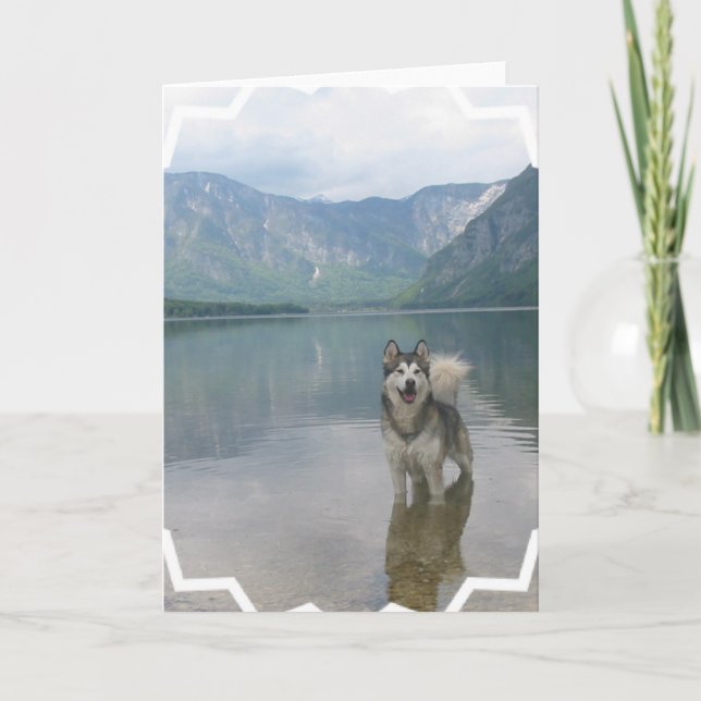 Malamute Dog Greeting Card (Front)
