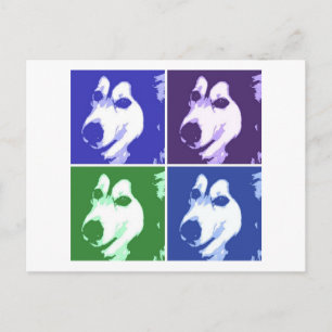 Malamute Dog Postcard