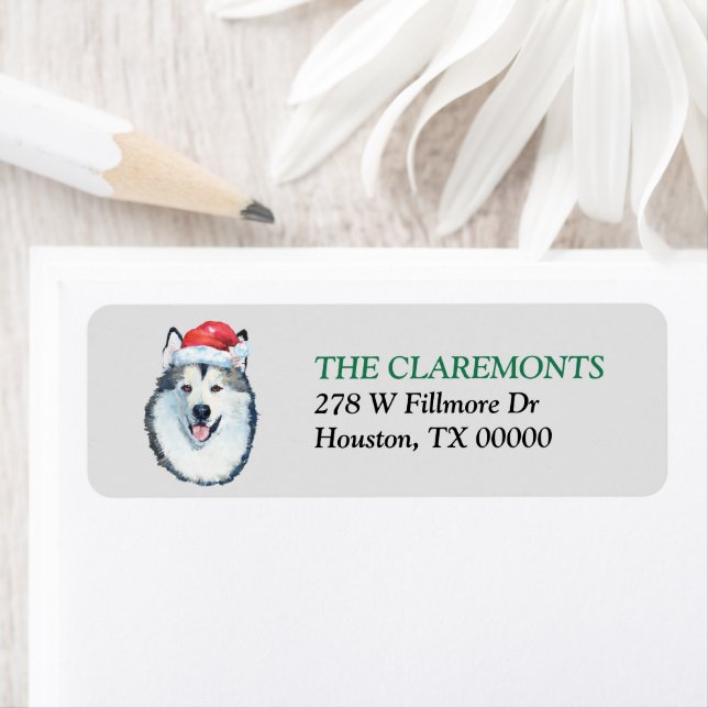 Malamute Santa Hat Return Address (Insitu)