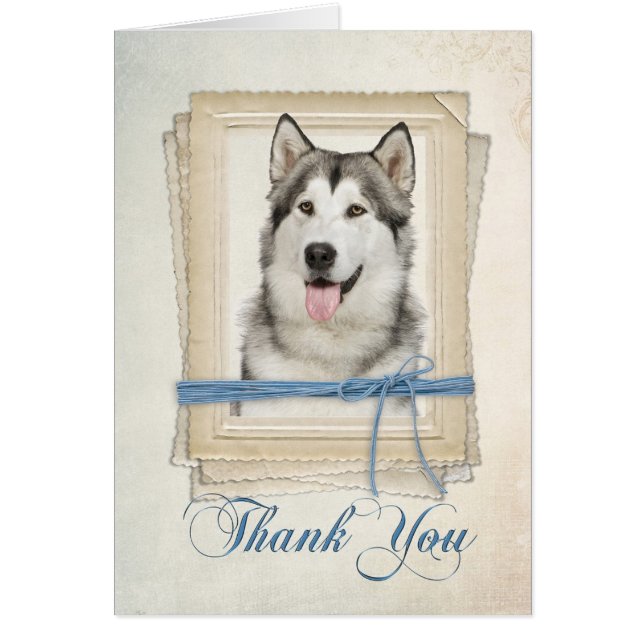 Malamute Thank You Card (Front)