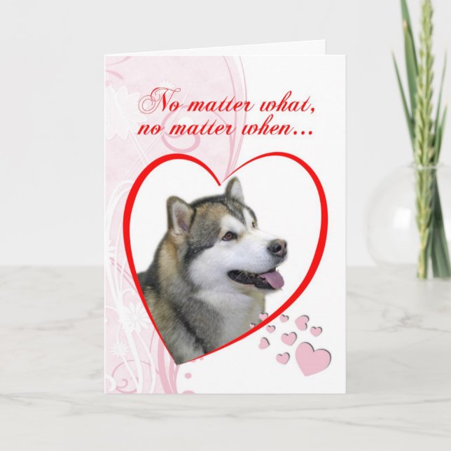 Malamute Valentine's Day Card (Front)