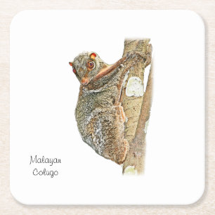 Malayan Colugo Coaster