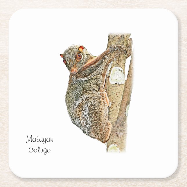 Malayan Colugo Coaster (Front)
