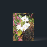 Malayan Moth Orchid and an American Climber Postcard<br><div class="desc">Marianne North artwork: Malayan Moth Orchid and an American Climber</div>