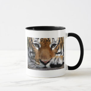 Malayan Tiger #3 mug