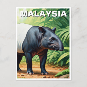 Malaysia Malayan Tapir Postcard