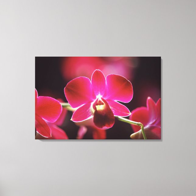 Malaysia, Orchid Canvas Print (Front)