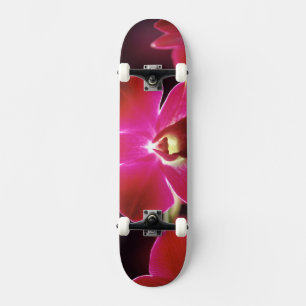 Malaysia, Orchid Skateboard
