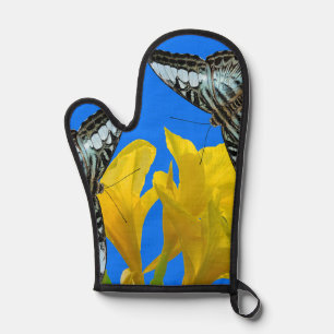 Malaysian blue clipper butterflies on Canna King Oven Mitt