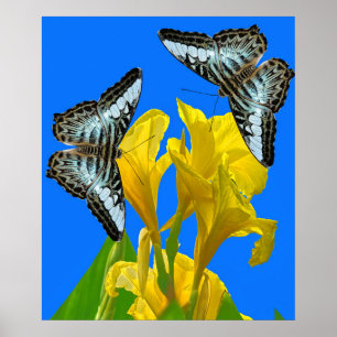 Malaysian blue clipper butterflies on Canna King  Poster
