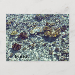 Maldives Beach Postcard