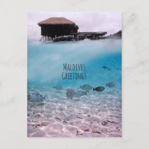 Maldives Greetings Snorkelling Fun Souvenir Postcard