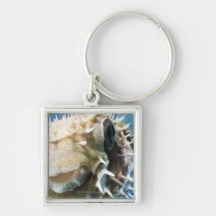 Maldives Islands Key Ring