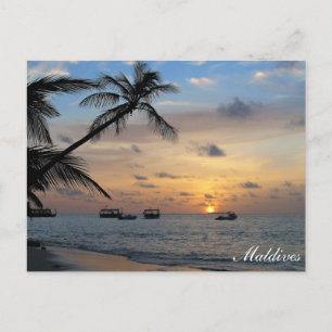 Maldives - Kandoludu island at sunset postcard