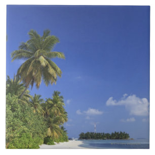 Maldives, Meemu Atoll, Medhufushi Island Tile