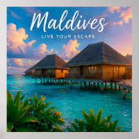 🧲 Maldives Overwater Villa Travel Memory 🏝️