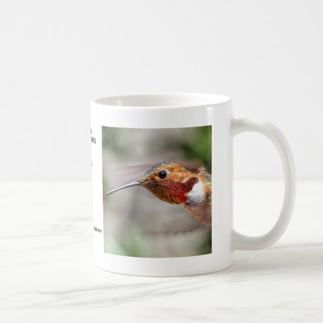 Male Allen's Hummingbird Mug (Right)