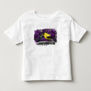 Male, American Goldfinch in summer plumage, Toddler T-Shirt