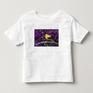 Male, American Goldfinch in summer plumage, Toddler T-Shirt