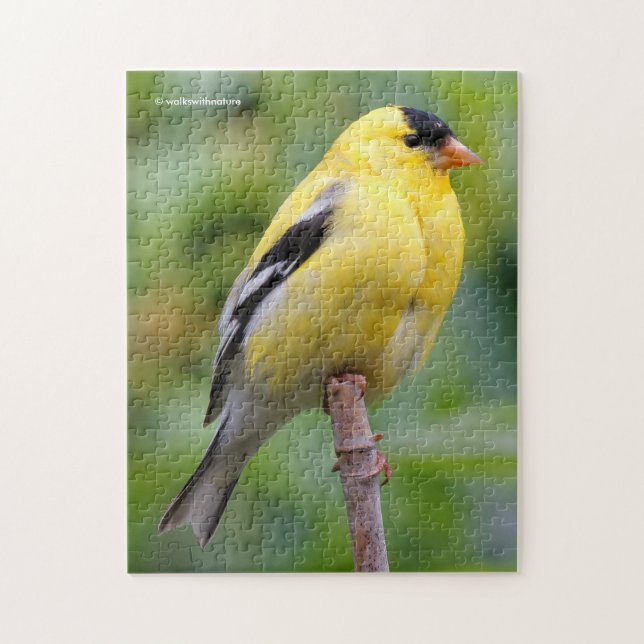 Male American Goldfinch on the Bamboo Jigsaw Puzzle (Vertical)