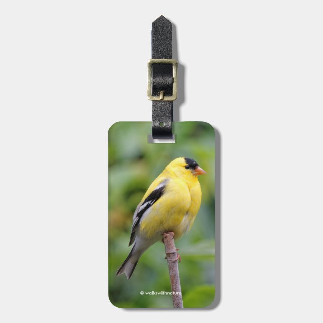 Male American Goldfinch on the Bamboo Luggage Tag (Front Vertical)