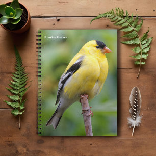 Male American Goldfinch on the Bamboo Spiral Notebook